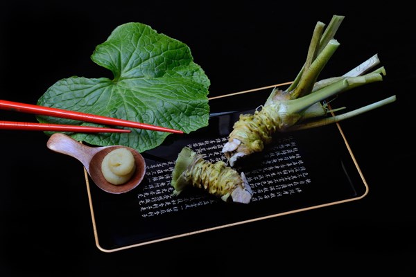 Wasabi root and wasabi paste on tray with chopsticks