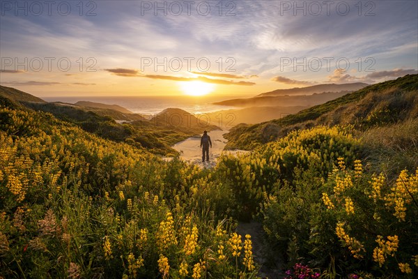 Young man looking at bay