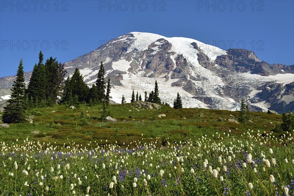 Summit Mount Rainier