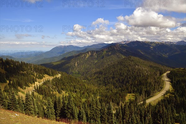 Road to Hurricane Ridge Visitor Center