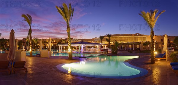 Swimming pool with palm trees at sunset
