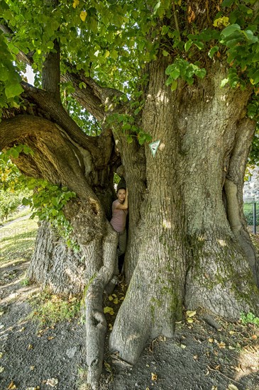 Woman standing in natural monument hollow tree