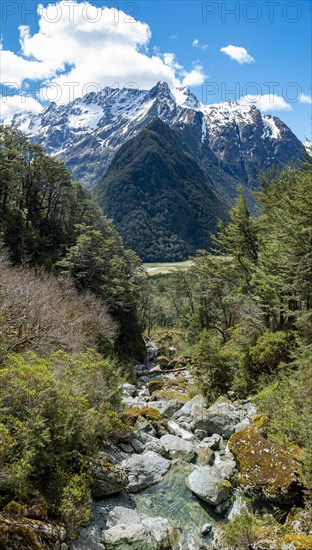 Mountain stream