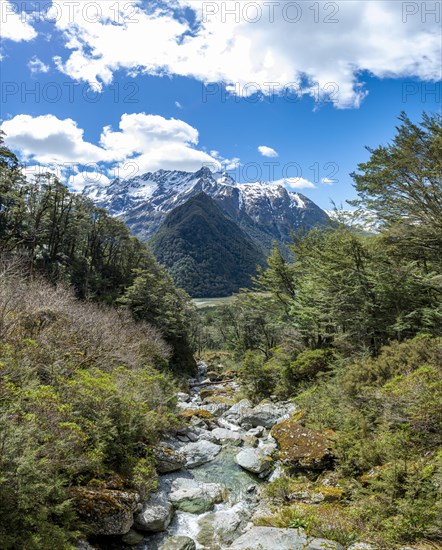 Mountain stream