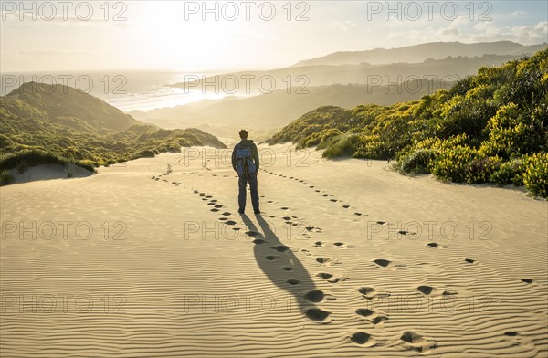 Young man in the dunes