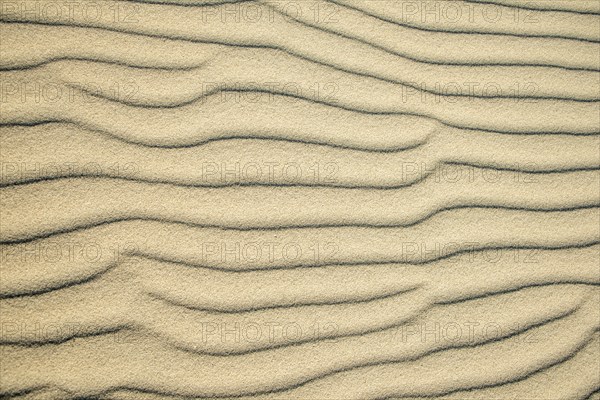 Wave patterns in light sand