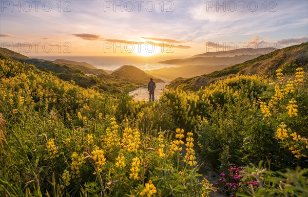 Young man looking at bay