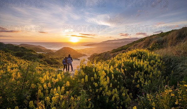 Pair at sunset