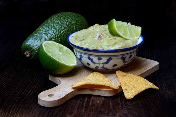 Bowl with guacamole