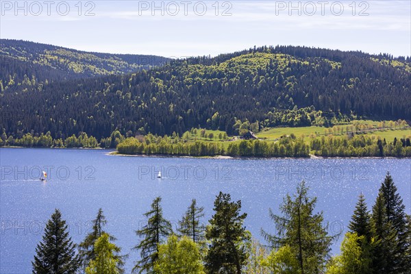 Sailing boats on the Schluchsee
