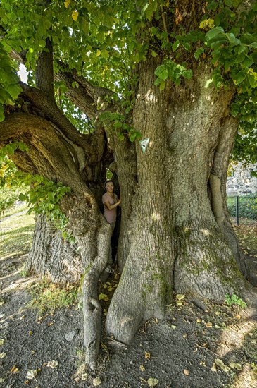 Woman standing in natural monument hollow tree