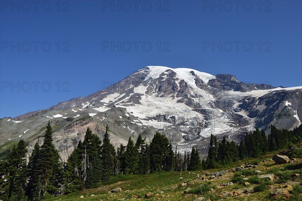 Summit Mount Rainier