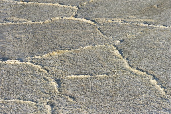 Crust of rock salt on the Assale salt lake