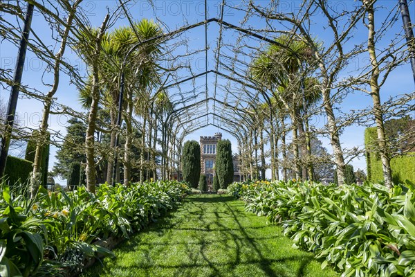 Pergola with fruit trees and view of Larnach Castle