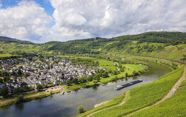 Vineyards on the Moselle