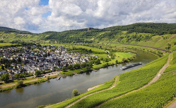 Vineyards on the Moselle