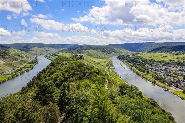 Marienburg above vineyards on the Moselle