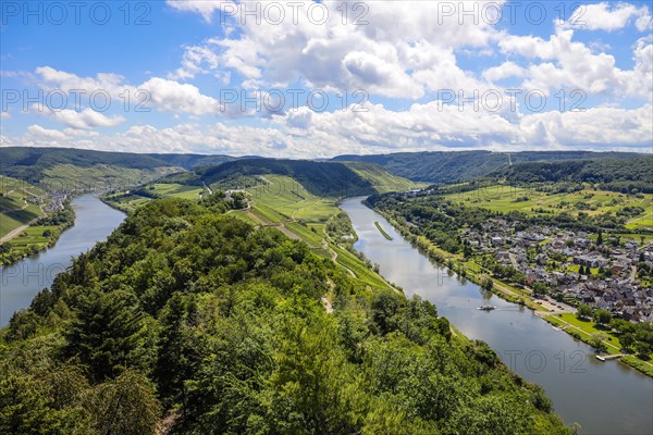 Marienburg above vineyards on the Moselle