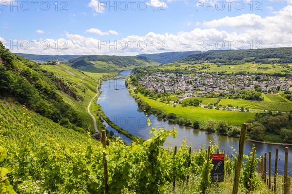 Marienburg above vineyards on the Moselle