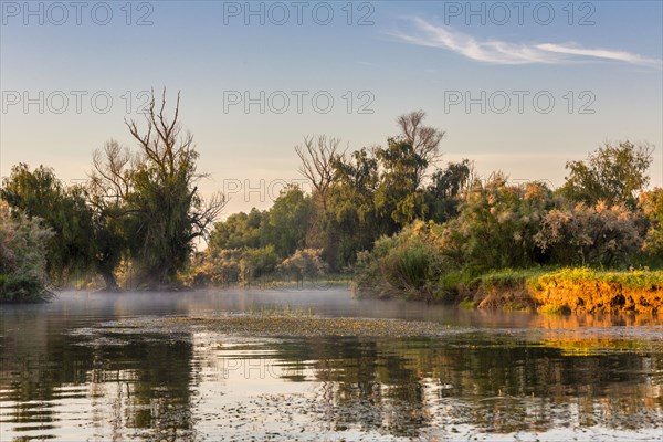 Morning atmosphere in the Danube Delta