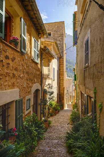 Flowerpots in alley with typical stone houses