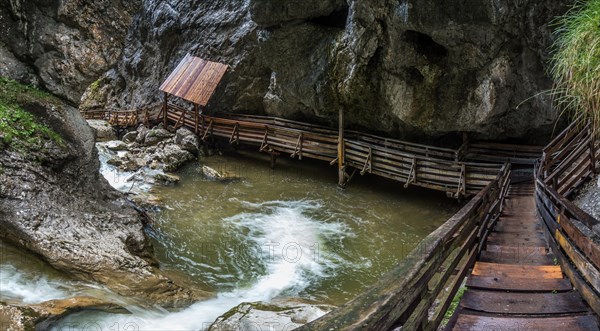 Woerschach gorge with wooden bridge