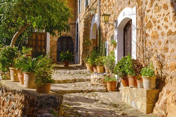 Flower pots in front of typical stone houses