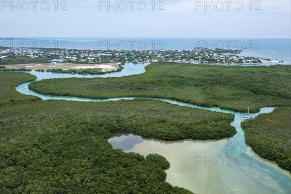 Aerial view of the mangroves