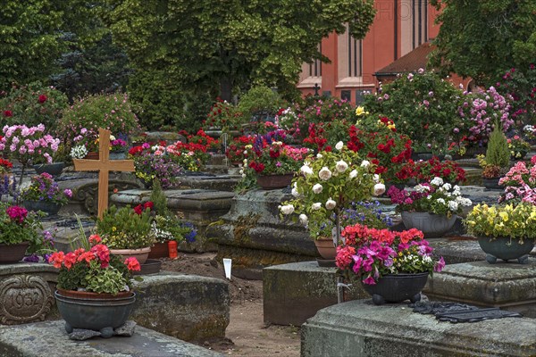 Old graves with floral decoration