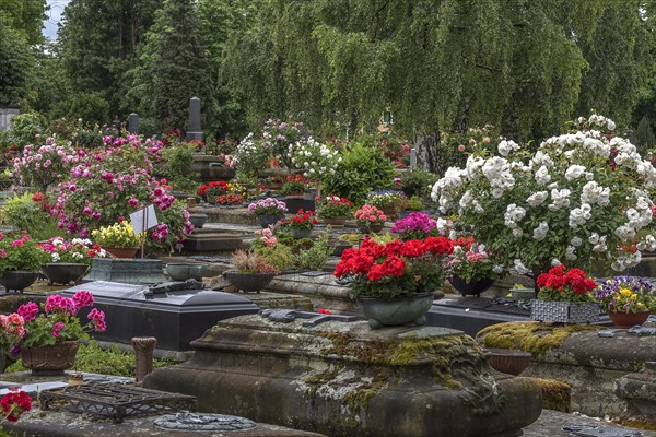 Old graves with floral decoration