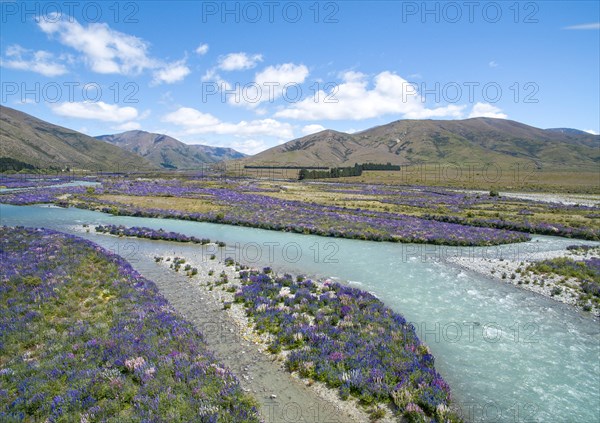 Riverbed of the Ahuriri River