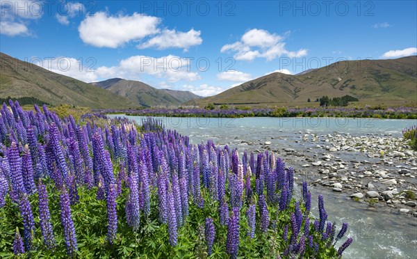 Ahuriri River