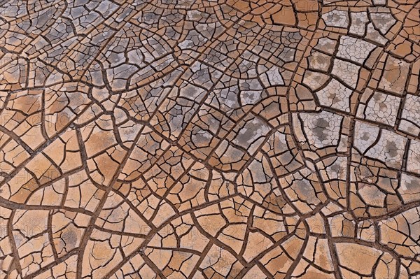 Cracks in clay soil form mosaic-like structure