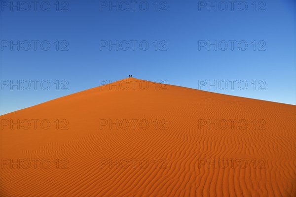 Tourists standing on top of a sand dune