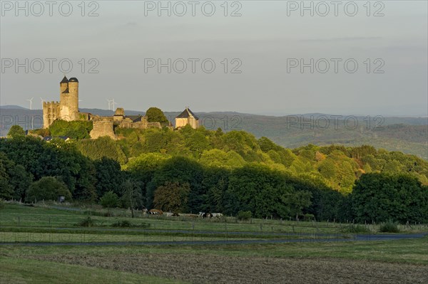 Ruins of the medieval castle Greifenstein