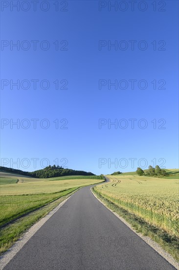 Country road leads through volcanic landscape Hegau