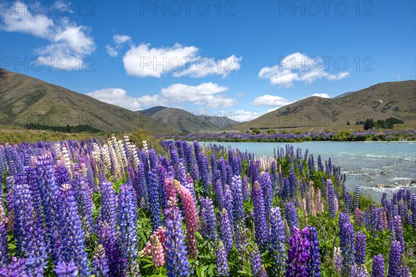 Ahuriri River