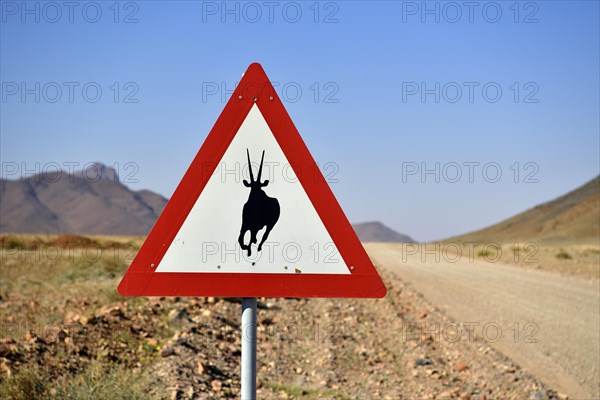 Road sign warns of crossing Oryx antelopes