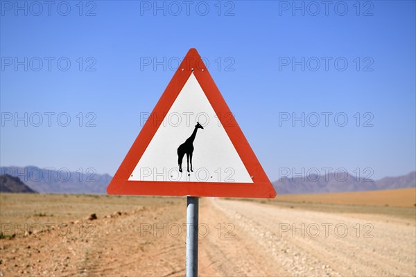 Road sign warns of crossing giraffes