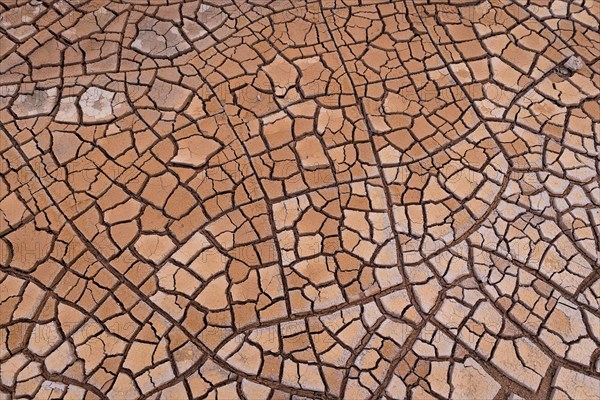 Cracks in clay soil form mosaic-like structure