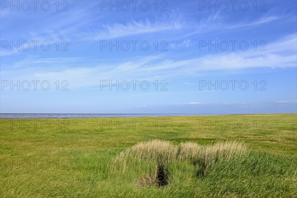 Extensive Wurster North Sea coast near Wremen