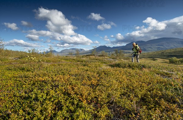 Female hiker in wide landscape