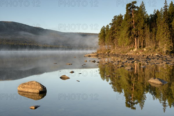 Autumnal fog atmosphere on the lake shore in the evening light