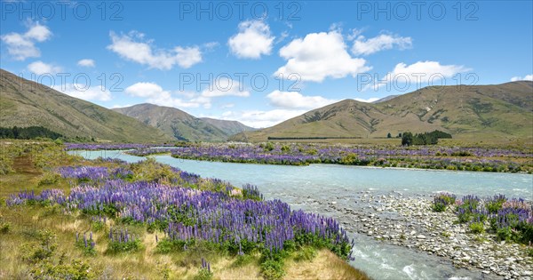 Ahuriri River