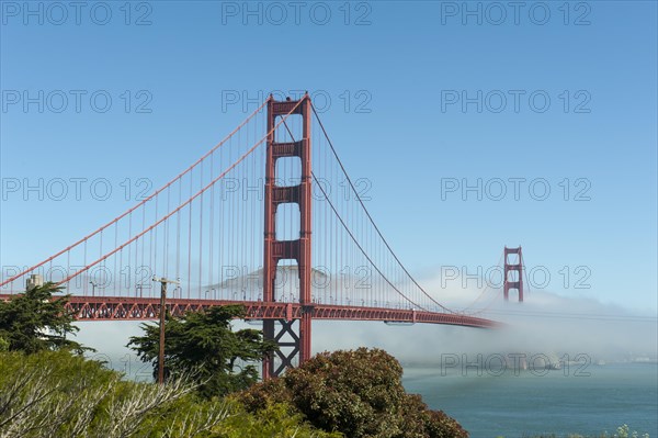 Suspension Bridge