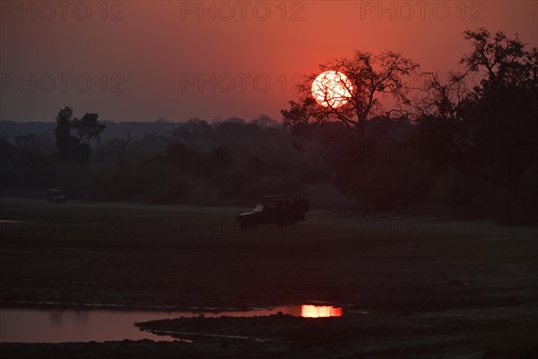 Sunrise safari vehicles along the Chobe River