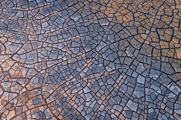 Cracks in clay soil form mosaic-like structure