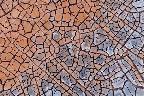 Cracks in clay soil form mosaic-like structure