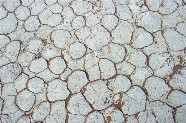 Dried clay soil in Deadvlei
