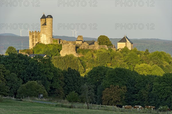 Ruins of the medieval castle Greifenstein